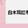白木耳紅棗湯（白木耳紅棗湯怎樣做）
