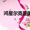 鴻星爾克是國產嗎（鴻星爾克是不是國產）