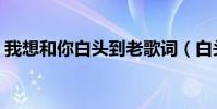 我想和你白頭到老歌詞(白頭到老歌曲介紹)