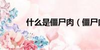 什么是僵尸肉(僵尸肉的定義)
