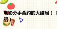 電影分手合約的大結局(《分手合約》結局介紹)