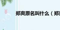 鄭爽原名叫什么(鄭爽的簡介)