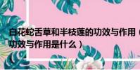 白花蛇舌草和半枝蓮的功效與作用(白花蛇舌草和半枝蓮的功效與作用是什么)