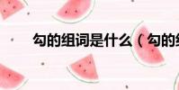 勾的組詞是什么(勾的組詞有什么)