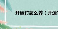 開運竹怎么養(開運竹的養法)