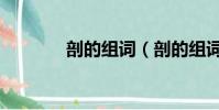 剖的組詞(剖的組詞有哪些)