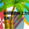 棒棒糖的棒上為什么有個小孔（棒棒糖的棒上為什么有個小孔呢）