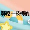 韓劇一枝梅的主要劇情（講述的是什么故事）