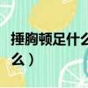 捶胸頓足什么意思（詞語捶胸頓足的意思是什么）