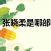 張曉柔是哪部電視劇（該劇講述了什么故事）