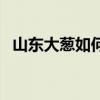 山東大蔥如何種植（山東大蔥的種植方法）