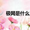 極網是什么意思（極網具體是什么意思）