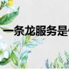 一條龍服務是什么意思（什么是一條龍服務）