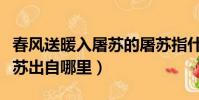 春風送暖入屠蘇的屠蘇指什么(春風送暖入屠蘇出自哪里)