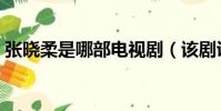 張曉柔是哪部電視劇(該劇講述了什么故事)