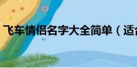 飛車情侶名字大全簡單(適合飛車情侶名字)