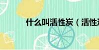 什么叫活性炭(活性炭的解釋)