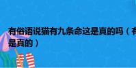 有俗語說貓有九條命這是真的嗎(有俗語說貓有九條命是不是真的)