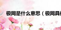 極網是什么意思(極網具體是什么意思)