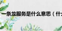 一條龍服務是什么意思(什么是一條龍服務)