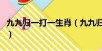 九九歸一打一生肖(九九歸一打一生肖是什么)