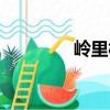 嶺里村（關于嶺里村簡介）