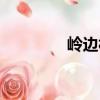 嶺邊村（關于嶺邊村簡介）