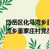 岱岳區化馬灣鄉董家莊村黨員志愿服務隊（關于岱岳區化馬灣鄉董家莊村黨員志愿服務隊簡介）