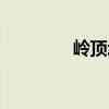 嶺頂埔（關于嶺頂埔簡介）