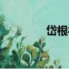 岱根村（關于岱根村簡介）