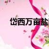 岱西萬畝鹽田（關于岱西萬畝鹽田簡介）