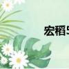 宏稻59（關于宏稻59介紹）