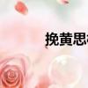 挽黃思梅（關于挽黃思梅簡介）
