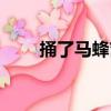 捅了馬蜂窩（關于捅了馬蜂窩簡介）