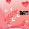 捉捕行（關于捉捕行簡介）