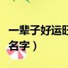 一輩子好運旺財微信名（聚財帶好運氣的微信名字）