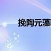 挽陶元藻聯（關于挽陶元藻聯簡介）