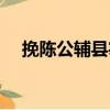 挽陳公輔縣宰（關于挽陳公輔縣宰簡介）