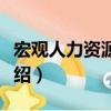 宏觀人力資源管理（關于宏觀人力資源管理介紹）