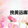 挽黃遠庸聯（關于挽黃遠庸聯簡介）
