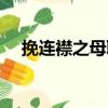 挽連襟之母聯（關于挽連襟之母聯簡介）