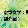 宏章文學：岳母駕到（關于宏章文學：岳母駕到介紹）