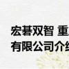 宏碁雙智 重慶有限公司（關于宏碁雙智 重慶有限公司介紹）
