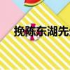 挽陳東湖先生（關于挽陳東湖先生簡介）