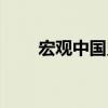宏觀中國史（關于宏觀中國史介紹）