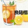 挽陸楷聯（關于挽陸楷聯簡介）