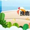 挽鹿車（關于挽鹿車簡介）