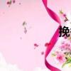 挽香（關于挽香簡介）