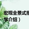 宏觀全景式報告文學（關于宏觀全景式報告文學介紹）