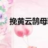 挽黃云鵠母聯（關于挽黃云鵠母聯簡介）